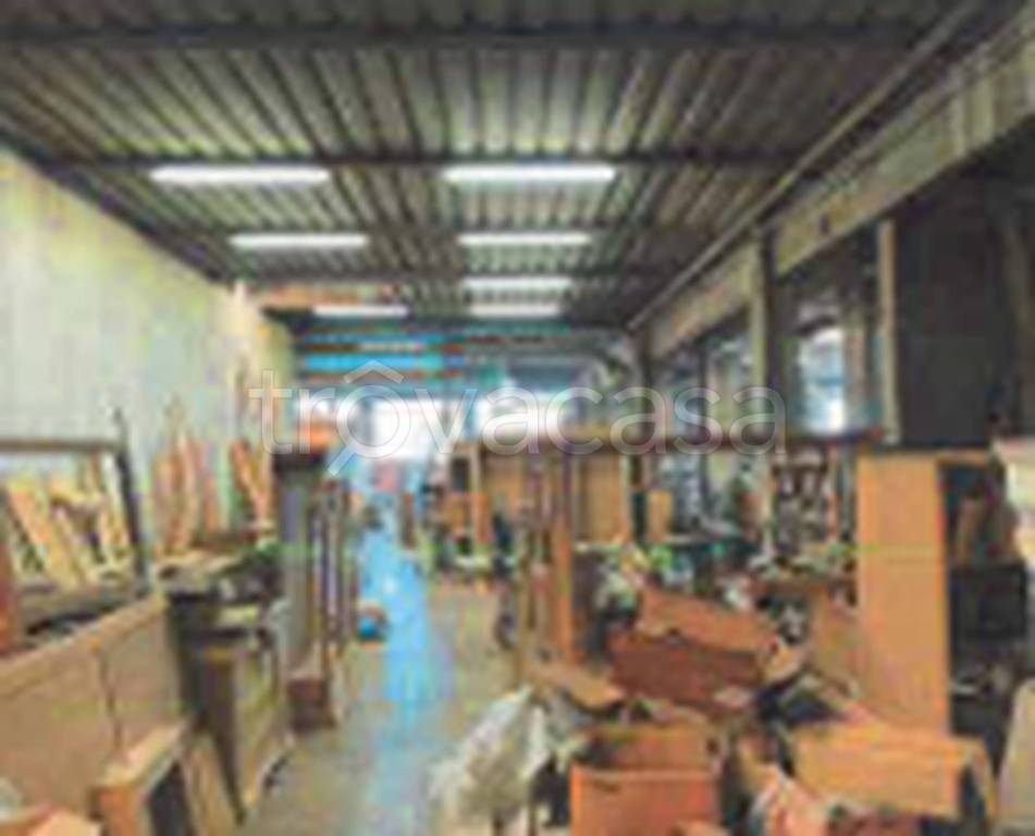 immagine annuncio 4 di 11