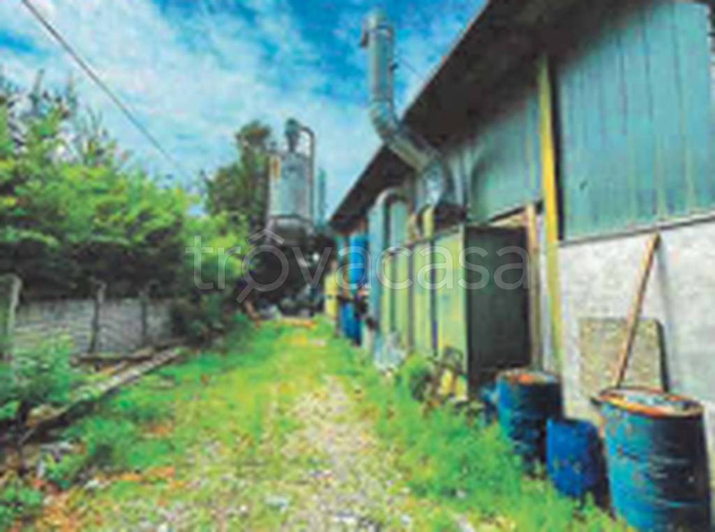 immagine annuncio 7 di 11