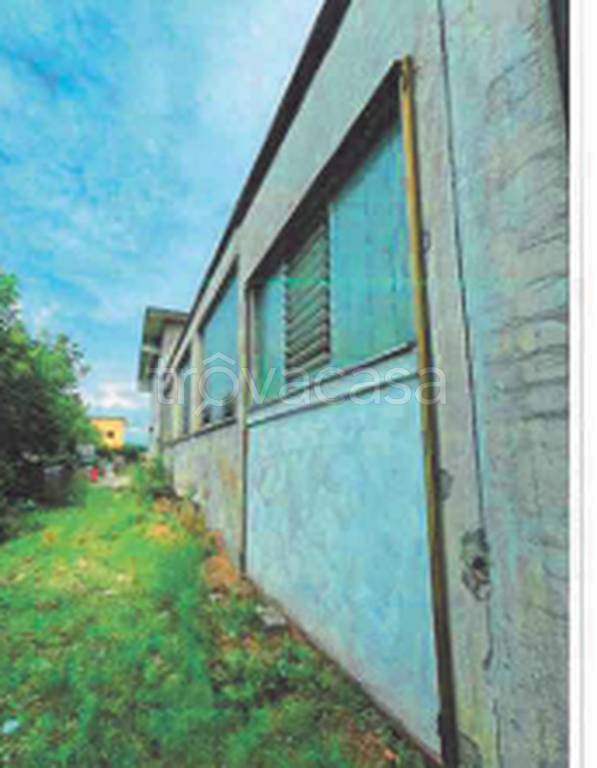 immagine annuncio 8 di 11