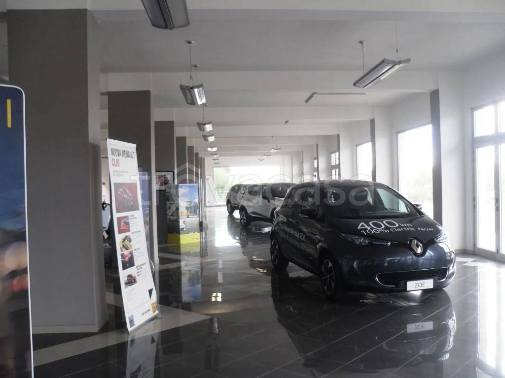 immagine annuncio 8 di 15