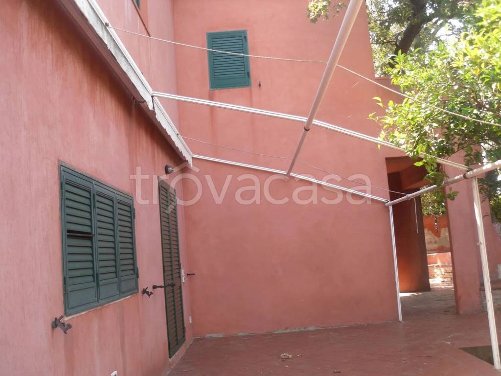 immagine annuncio 5 di 13