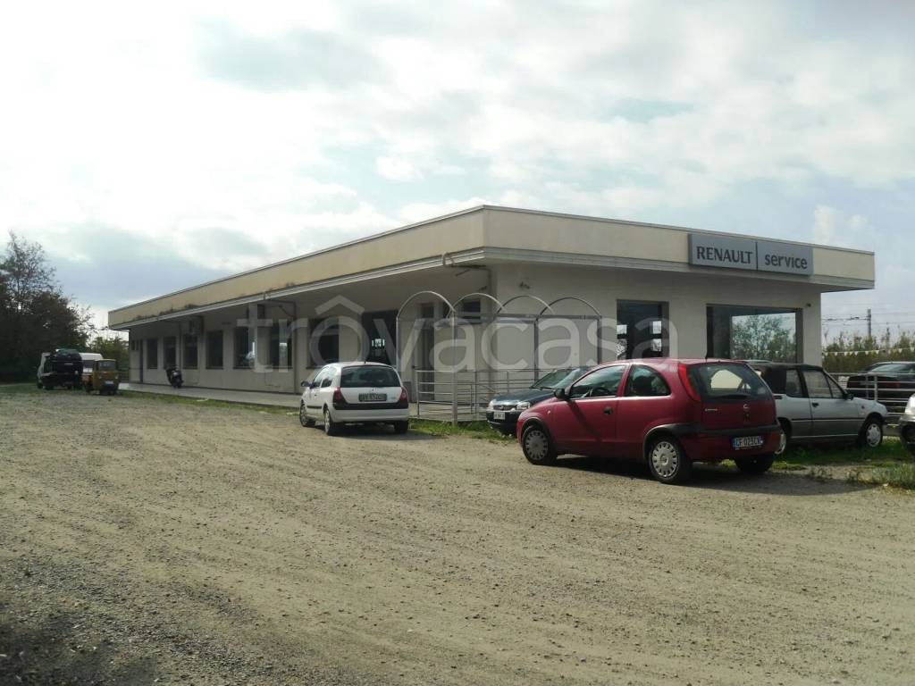 immagine annuncio 12 di 15