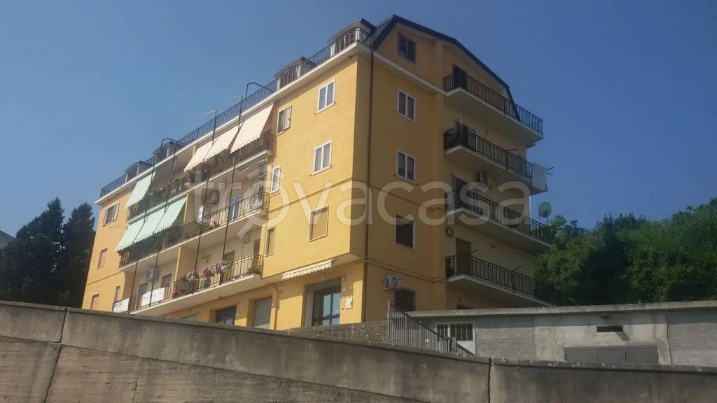 immagine annuncio 1 di 6