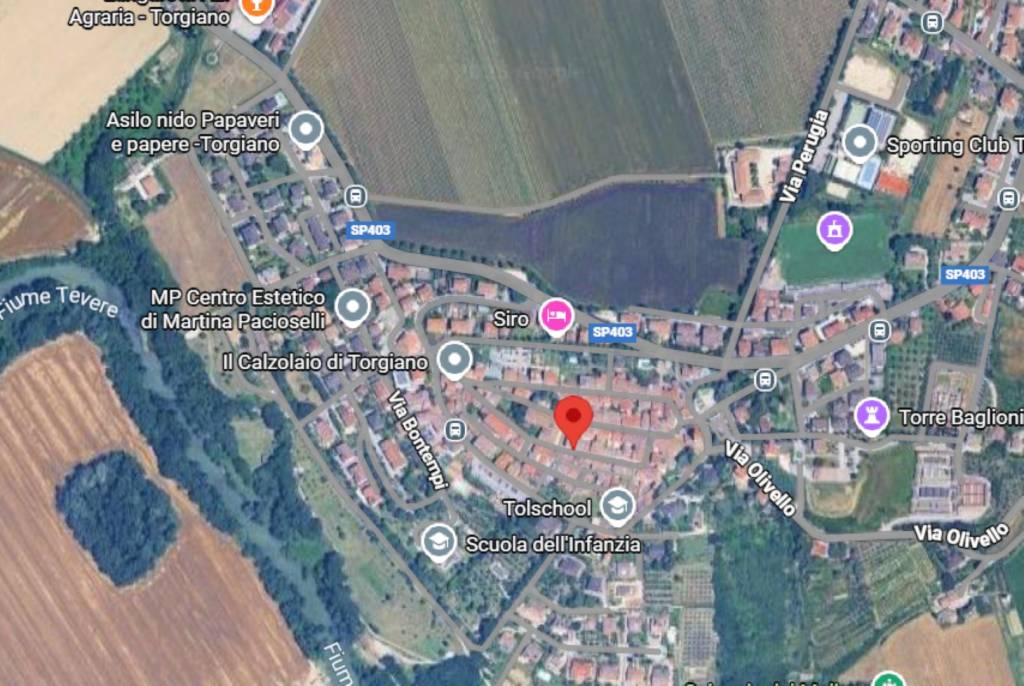 immagine annuncio 7 di 12