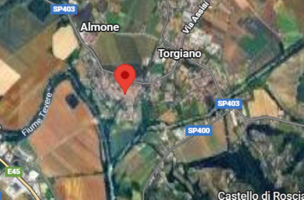 immagine annuncio 9 di 12