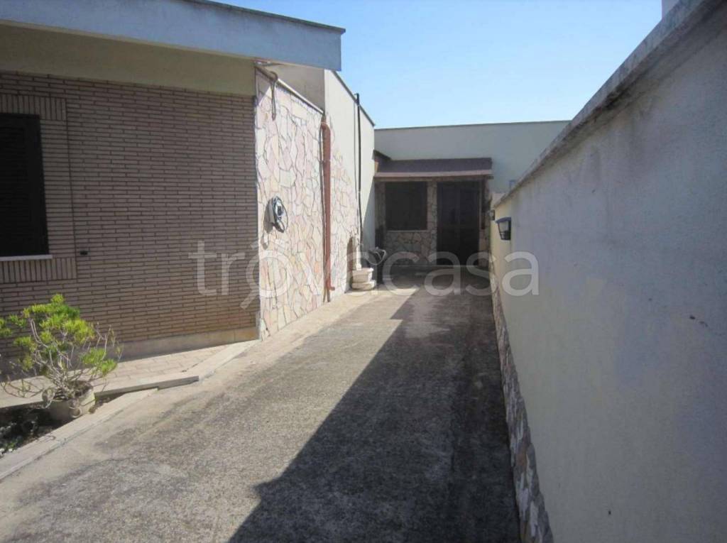 immagine annuncio 12 di 14