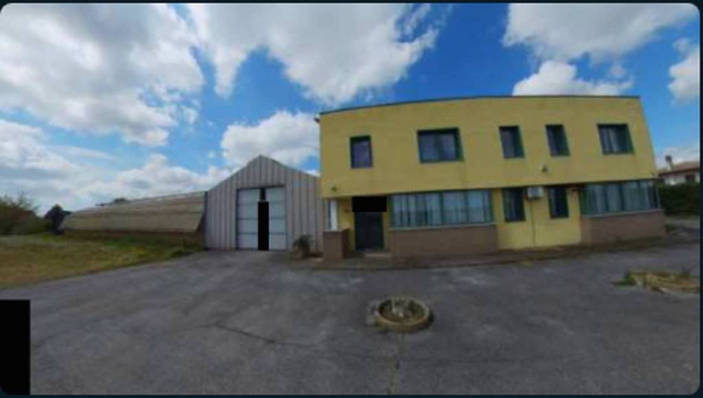 immagine annuncio 2 di 13