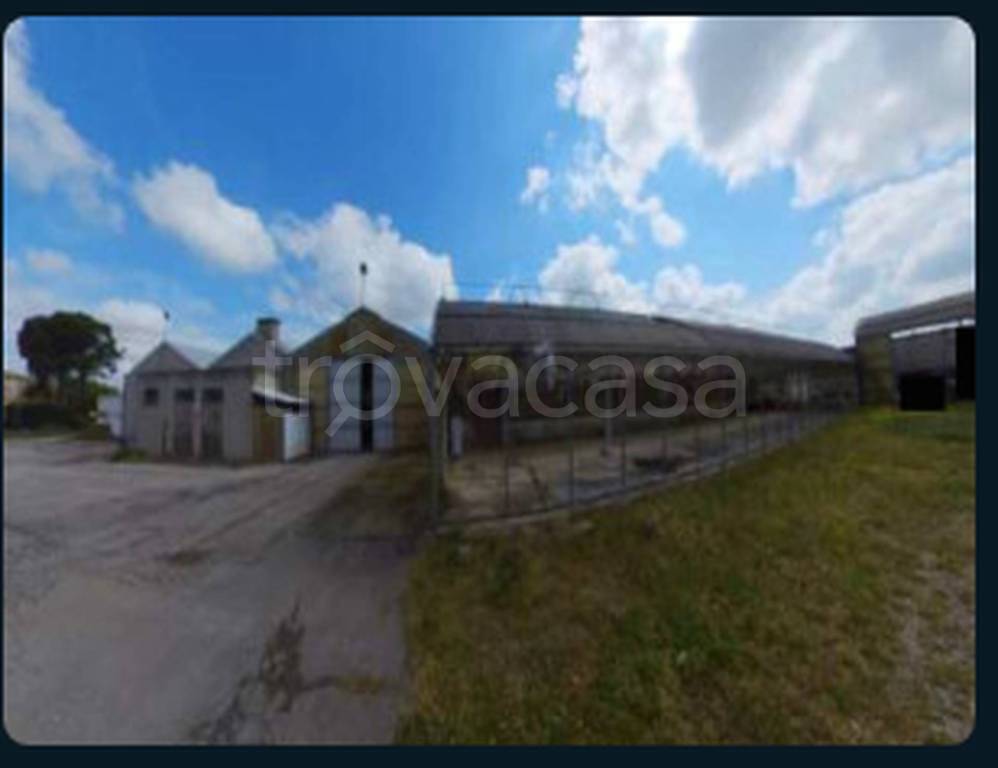 immagine annuncio 3 di 13