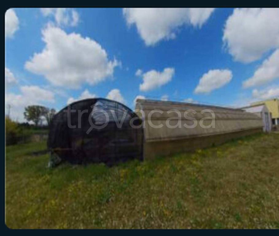 immagine annuncio 4 di 13