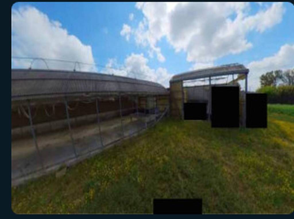 immagine annuncio 5 di 13