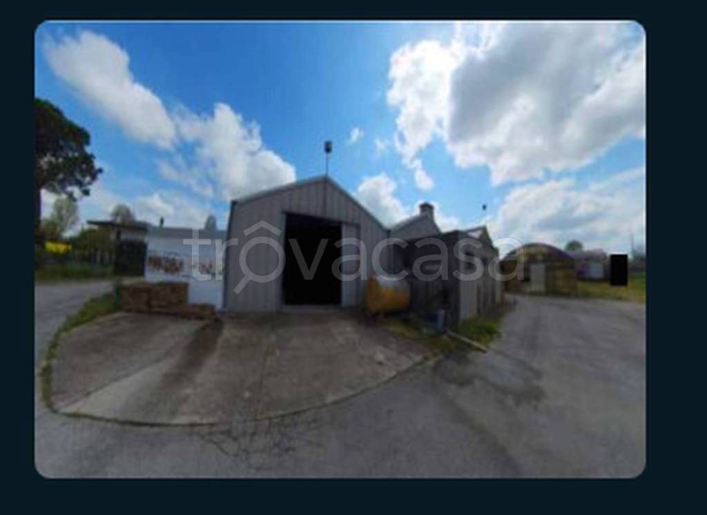 immagine annuncio 6 di 13