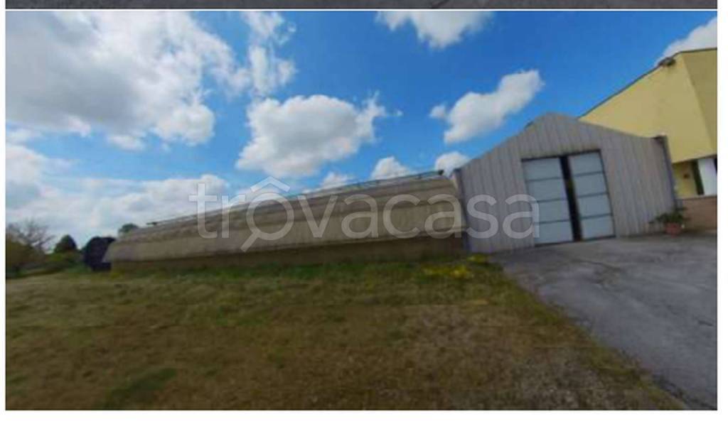 immagine annuncio 8 di 13