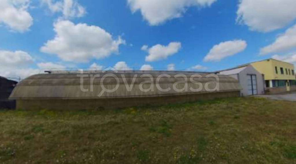 immagine annuncio 9 di 13