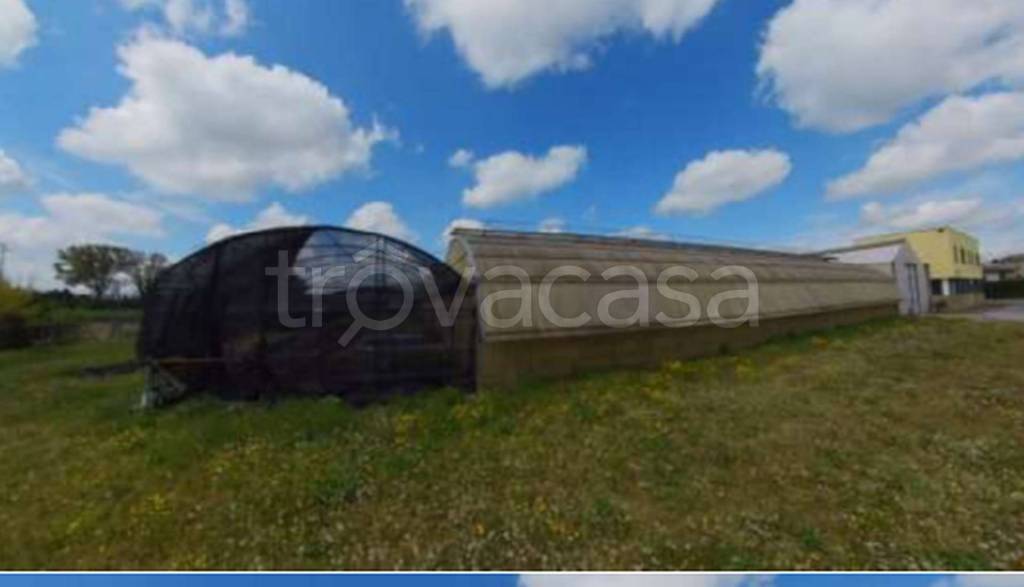 immagine annuncio 10 di 13