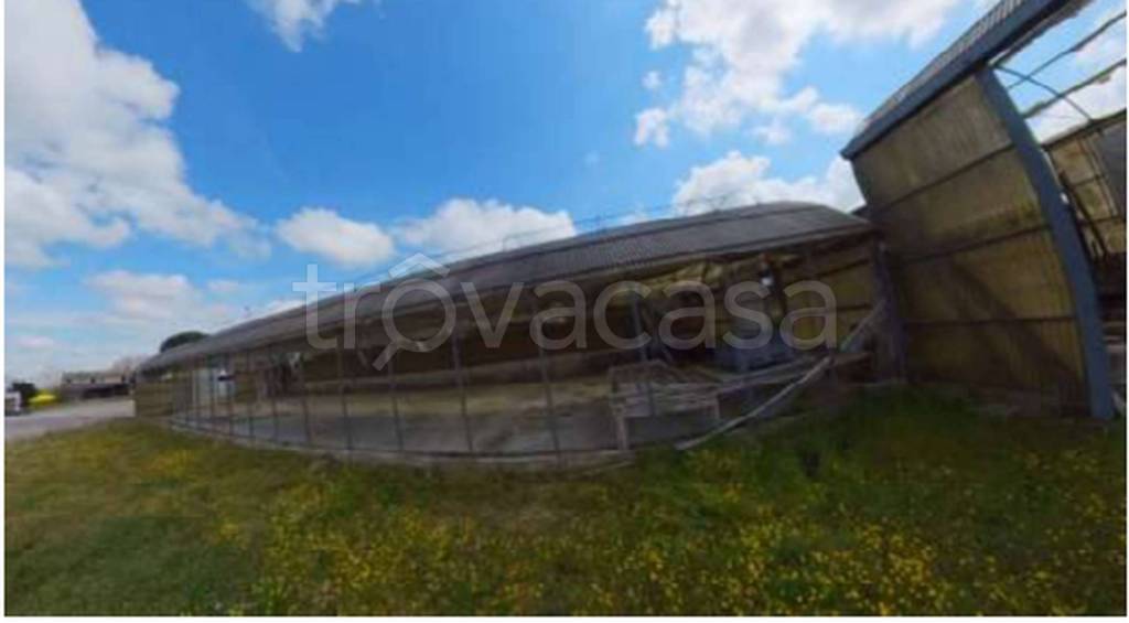 immagine annuncio 12 di 13