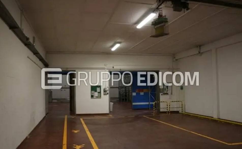 immagine annuncio 1 di 12