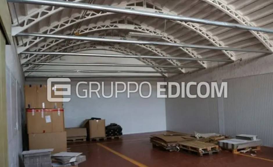 immagine annuncio 2 di 12