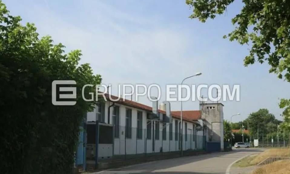 immagine annuncio 3 di 12