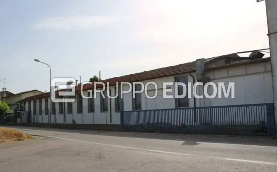 immagine annuncio 4 di 12