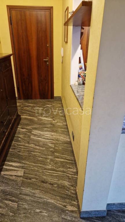 immagine annuncio 7 di 13