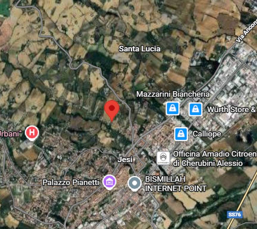 immagine annuncio 3 di 11