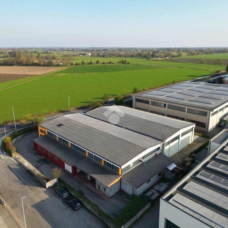 immagine annuncio 9 di 12