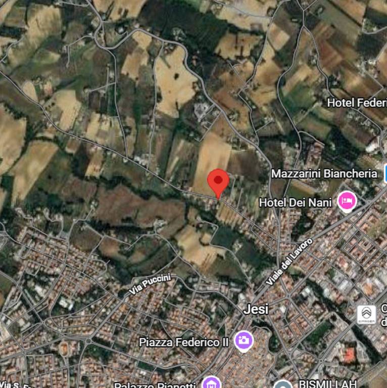 immagine annuncio 4 di 11