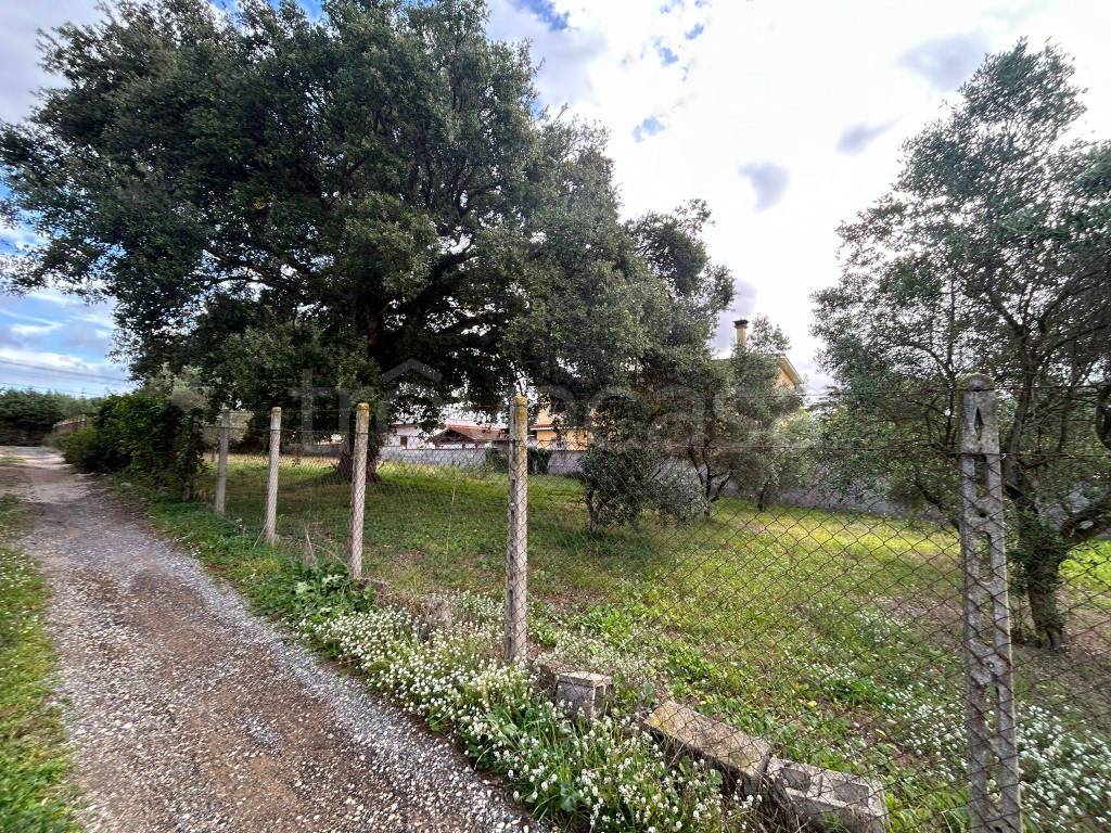 immagine annuncio 1 di 8