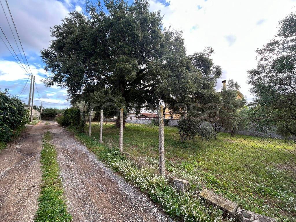 immagine annuncio 2 di 8