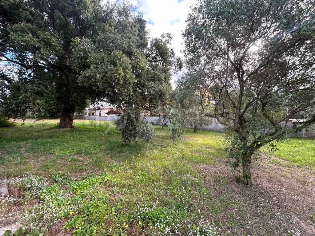 immagine annuncio 3 di 8