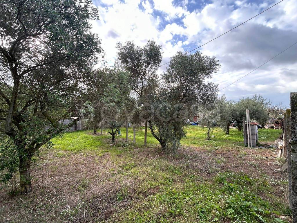 immagine annuncio 5 di 8