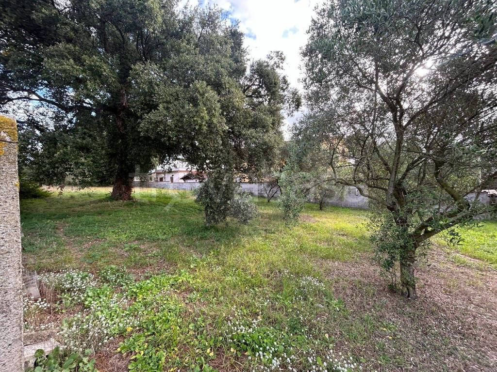 immagine annuncio 6 di 8