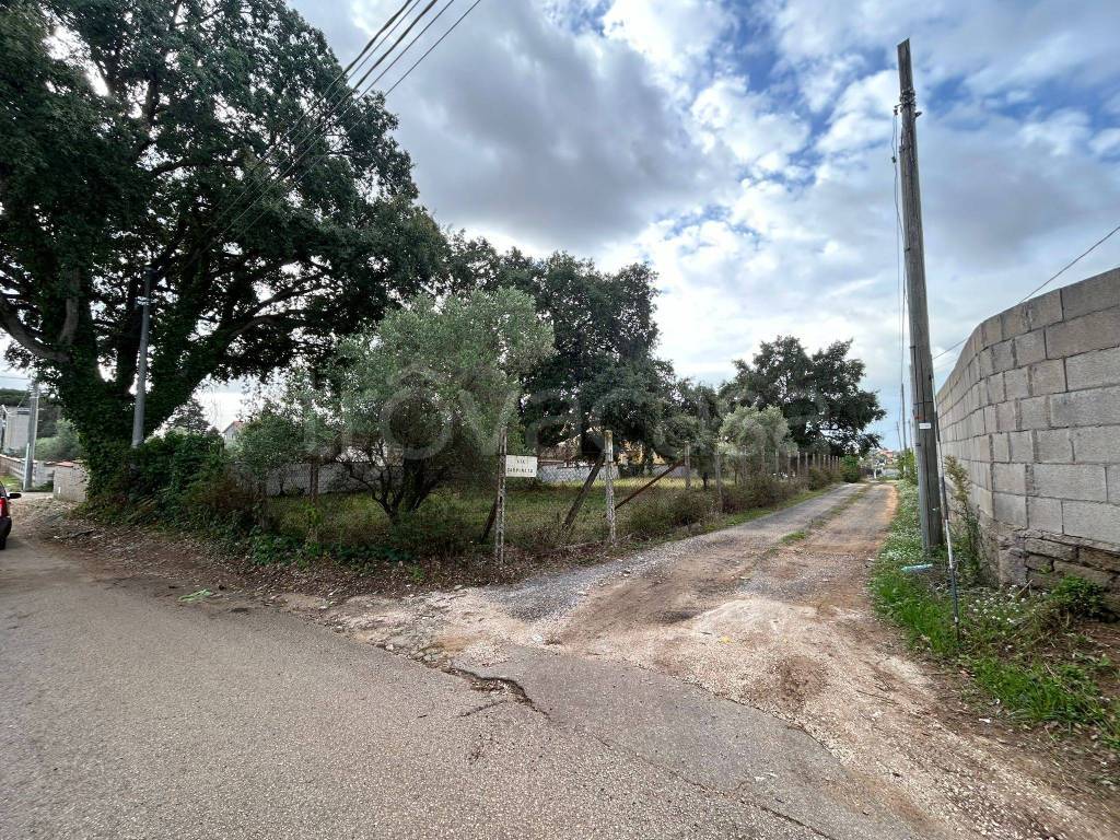 immagine annuncio 7 di 8