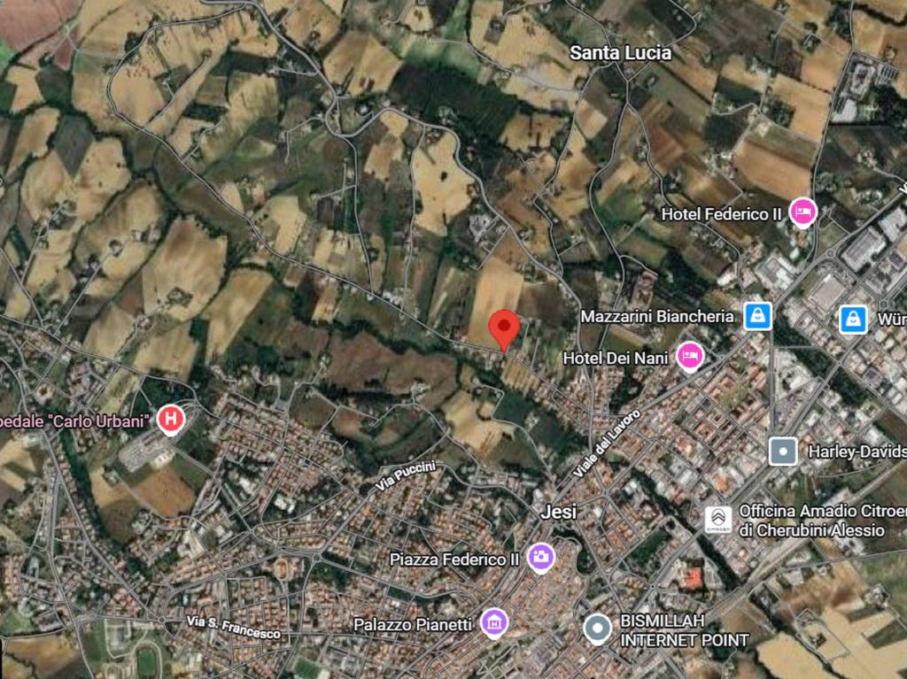 immagine annuncio 5 di 11