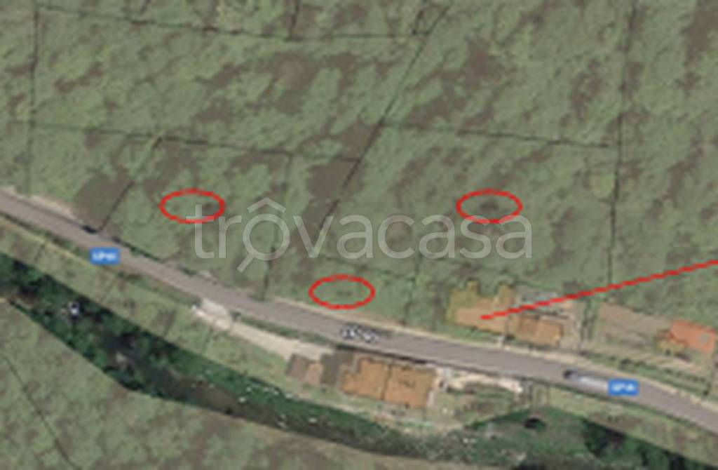 immagine annuncio 6 di 8