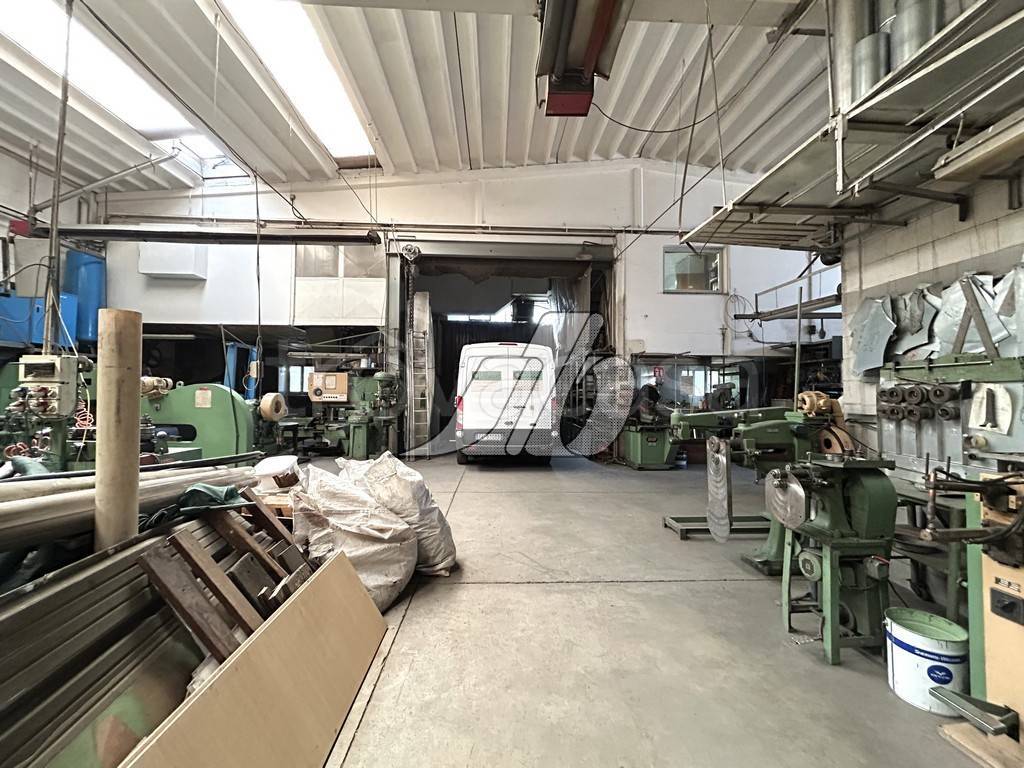 immagine annuncio 5 di 15