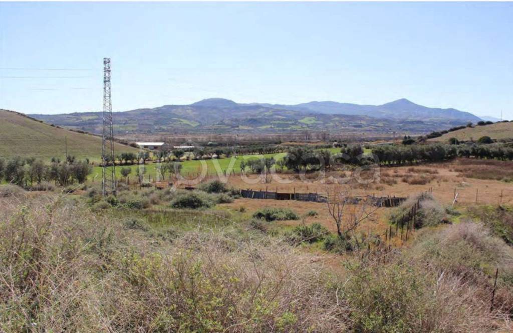 immagine annuncio 4 di 11