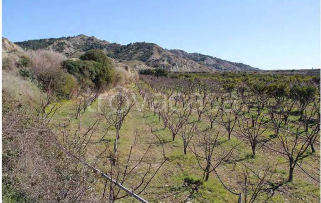 immagine annuncio 6 di 11