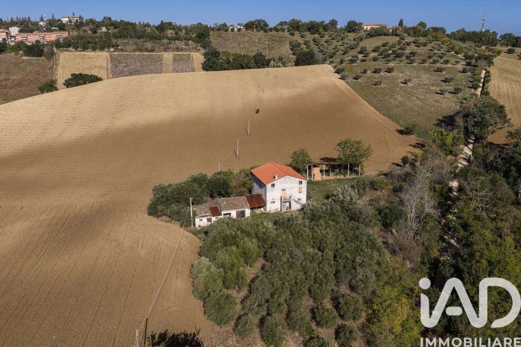 immagine annuncio 10 di 11