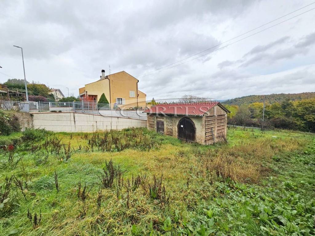 immagine annuncio 2 di 7