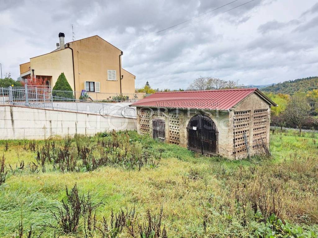 immagine annuncio 3 di 7