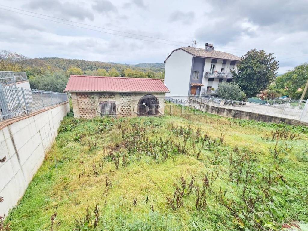 immagine annuncio 6 di 7