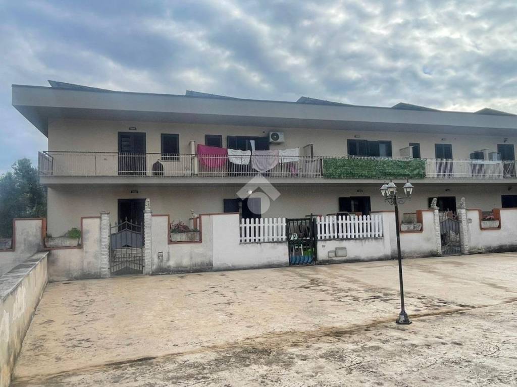 immagine annuncio 2 di 12