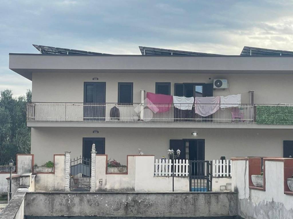 immagine annuncio 9 di 12