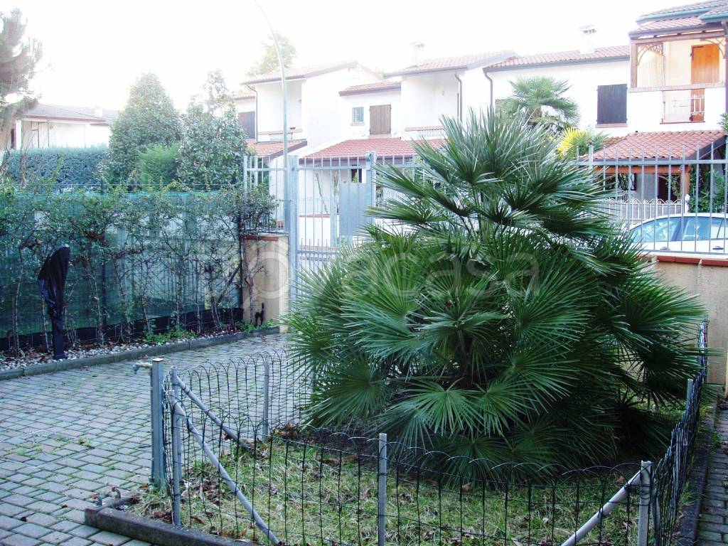 immagine annuncio 4 di 14