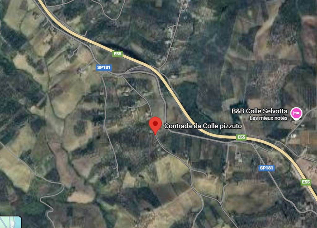 immagine annuncio 2 di 11