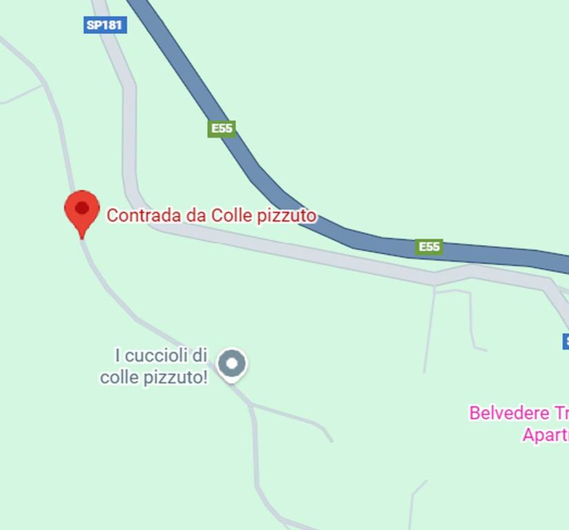 immagine annuncio 10 di 11