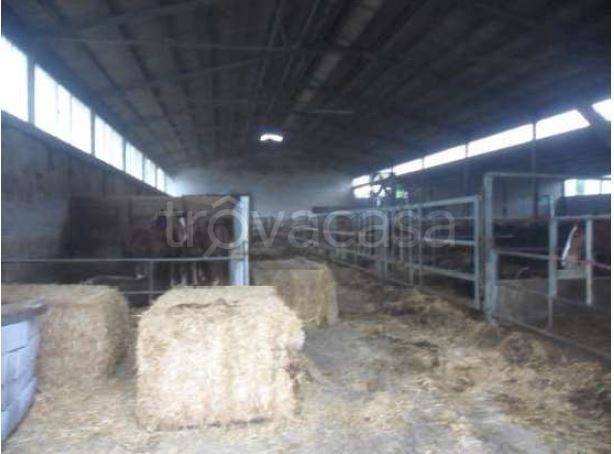 immagine annuncio 4 di 7