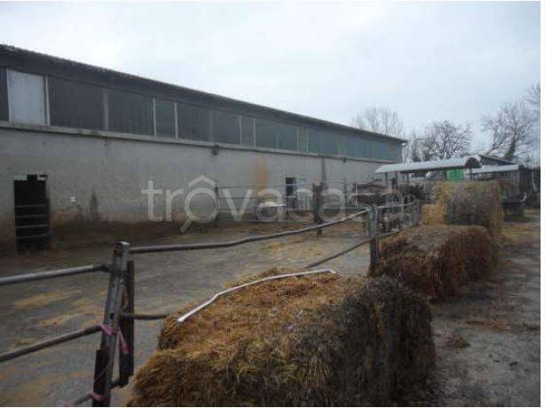 immagine annuncio 5 di 7