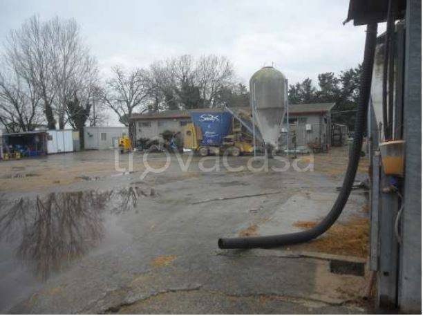 immagine annuncio 6 di 7